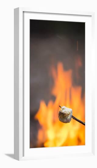 Marshmallow & Campfire-Justin Bailie-Framed Photographic Print