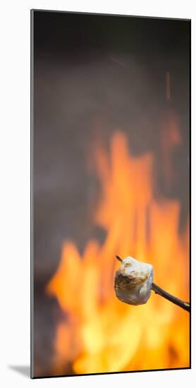 Marshmallow & Campfire-Justin Bailie-Mounted Photographic Print