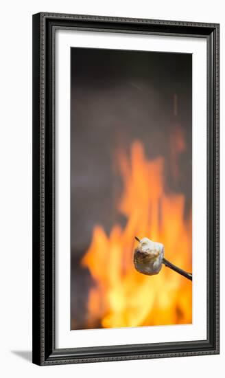 Marshmallow & Campfire-Justin Bailie-Framed Photographic Print