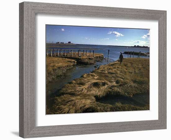 Marshy Flats at Rye Harbor, Nh-null-Framed Photographic Print