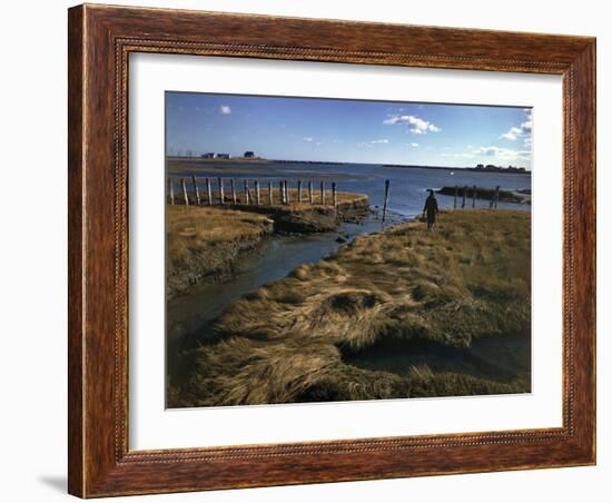 Marshy Flats at Rye Harbor, Nh-null-Framed Photographic Print