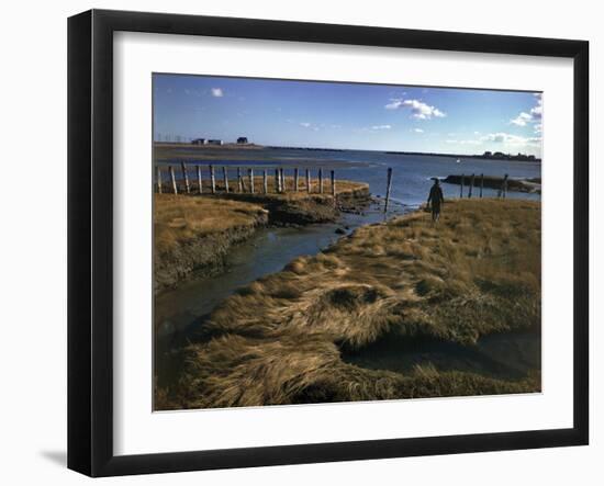 Marshy Flats at Rye Harbor, Nh-null-Framed Photographic Print