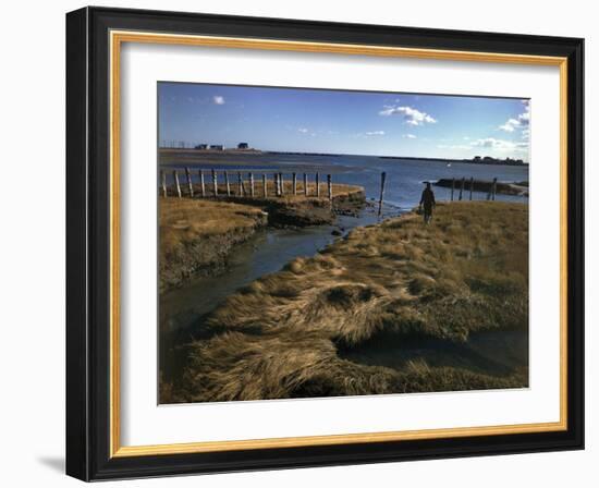 Marshy Flats at Rye Harbor, Nh-null-Framed Photographic Print