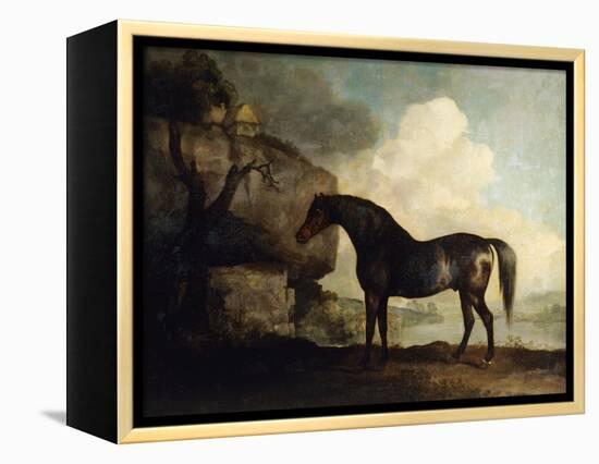 Marske', a Dark Bay Racehorse, in a Rocky River Landscape-George Stubbs-Framed Premier Image Canvas