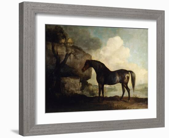 Marske', a Dark Bay Racehorse, in a Rocky River Landscape-George Stubbs-Framed Giclee Print