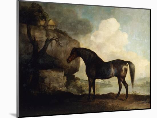 Marske', a Dark Bay Racehorse, in a Rocky River Landscape-George Stubbs-Mounted Giclee Print