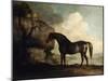 Marske', a Dark Bay Racehorse, in a Rocky River Landscape-George Stubbs-Mounted Giclee Print