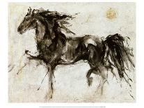 Two Racing on Horses-Marta Gottfried-Giclee Print