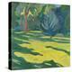 Stretched Canvas Print