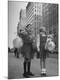 Premium Photographic Print