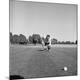 Premium Photographic Print