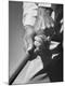 Premium Photographic Print