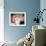 Martha Hyer-null-Framed Photo displayed on a wall