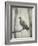 Martha, Last Known Passenger Pigeon-Science Source-Framed Giclee Print