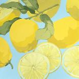 Fresh Lemons-Martha Negley-Framed Giclee Print