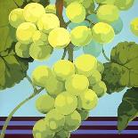 Fresh Grapefruits-Martha Negley-Giclee Print