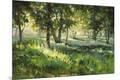 Giclee Print