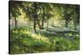 Stretched Canvas Print