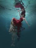 Evanesced-Martha Suherman-Premier Image Canvas