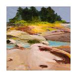 Low Tide-Martha Wakefield-Framed Art Print