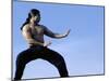 Martial Arts Posture-null-Mounted Photographic Print