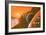 Martian Colony, Artwork-Richard Bizley-Framed Photographic Print