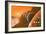 Martian Colony, Artwork-Richard Bizley-Framed Photographic Print