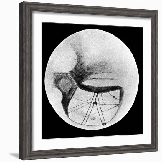 Martian Double 'Canals' 'Phison' and 'Euphrates' as Observed on 18 November 1894-null-Framed Giclee Print