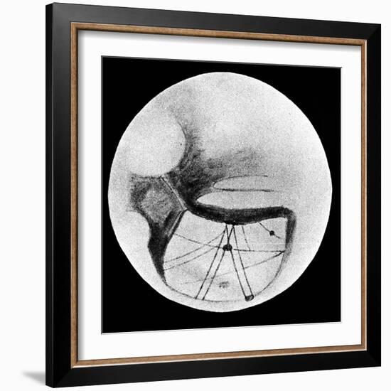 Martian Double 'Canals' 'Phison' and 'Euphrates' as Observed on 18 November 1894-null-Framed Giclee Print