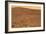 Martian Landscape, Spirit Rover Image-Jpl-caltech-Framed Photographic Print