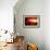 Martian Sunrise-Detlev Van Ravenswaay-Framed Photographic Print displayed on a wall