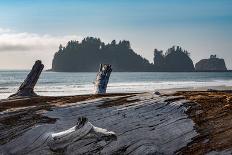 James Island with driftwood on the beach at La Push on the Pacific Northwest coast, Washington Stat-Martin Child-Photographic Print