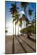 Premium Photographic Print