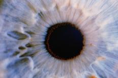 Human Eye-Martin Dohrn-Photographic Print