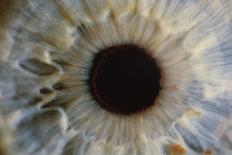 Human Eye-Martin Dohrn-Photographic Print