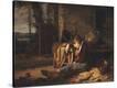 Stretched Canvas Print