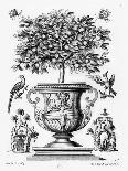 Ornamental Tree in an Urn on a Small Stage-Martin Engelbrecht-Giclee Print