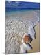 Premium Photographic Print