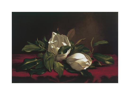 Limited Edition, , large