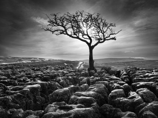 Photographic Print, , large