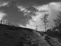 Lonely Path II-Martin Henson-Photographic Print