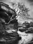 Rolls of Hay-Martin Henson-Photographic Print