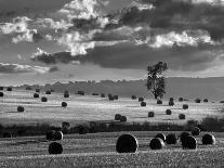 Rolls of Hay-Martin Henson-Photographic Print