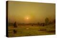 Stretched Canvas Print