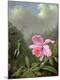 Premium Giclee Print