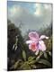 Premium Giclee Print