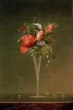 A Red Rose-Martin Johnson Heade-Framed Giclee Print