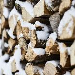 Snow shovel, snow, wood pile, detail, medium close-up, blur-Martin Ley-Photographic Print