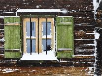 old farm door, ski, slide, snow shovel, snowfall,-Martin Ley-Framed Photographic Print