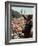 Martin Luther King Jr.-Associated Press-Framed Photographic Print